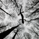 Illustration for article titled These Are the Best Wildlife Photographs of 2015